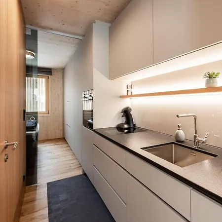 Apartamento Boutique Mit Garage Skiraum Und Skibus Inklusive Mellau