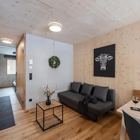 Boutique Mit Garage Skiraum Und Skibus Inklusive