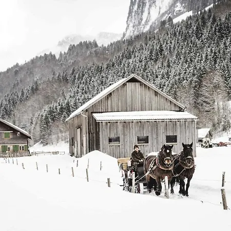 Boutique Mit Garage Skiraum Und Skibus Inklusive شقة