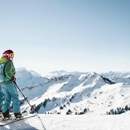 Boutique Mit Garage Skiraum Und Skibus Inklusive Apartamento Mellau