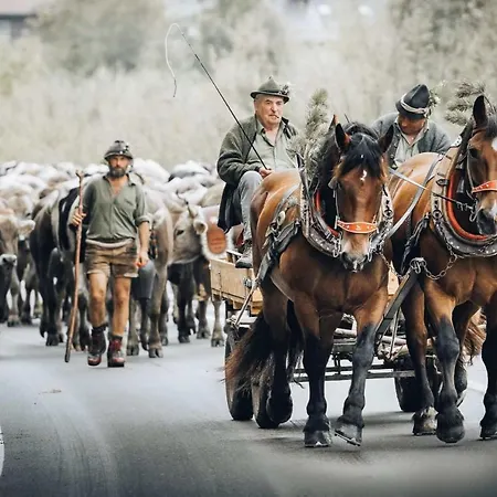 Boutique Mit Garage Skiraum Und Skibus Inklusive * ميلاو