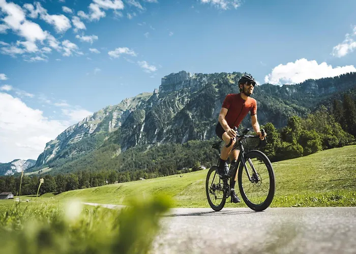 Boutique Apartments Mellau - Entspannt Ankommen *