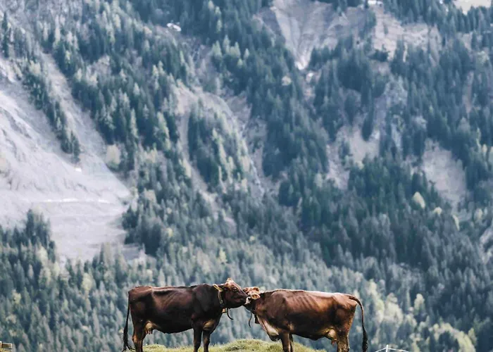 Appartement Boutique Apartments Mellau - Entspannt Ankommen